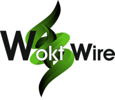Web сайты Web дизайн